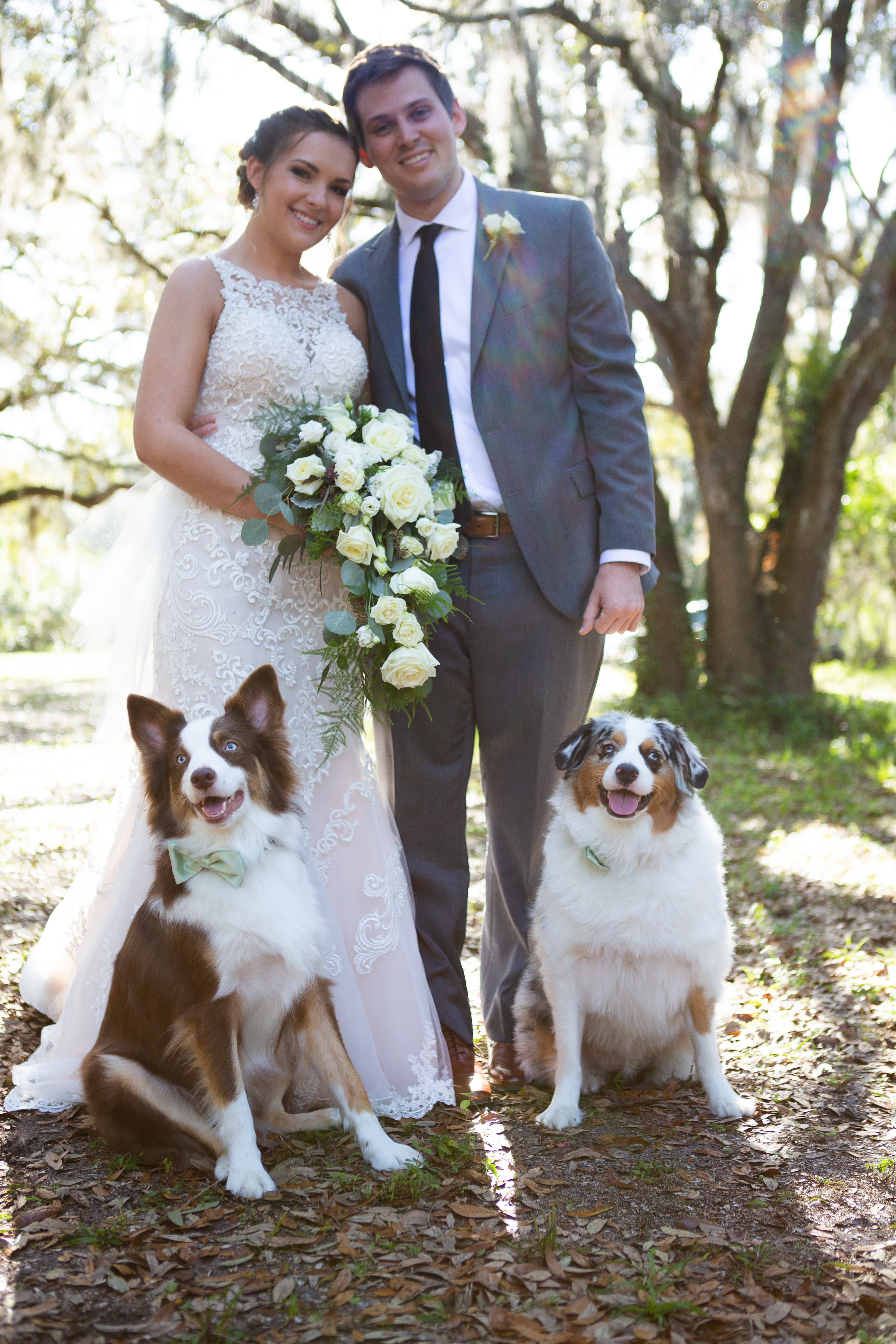 The bride and groom with their two dogs in bow ties at Chapel Creek