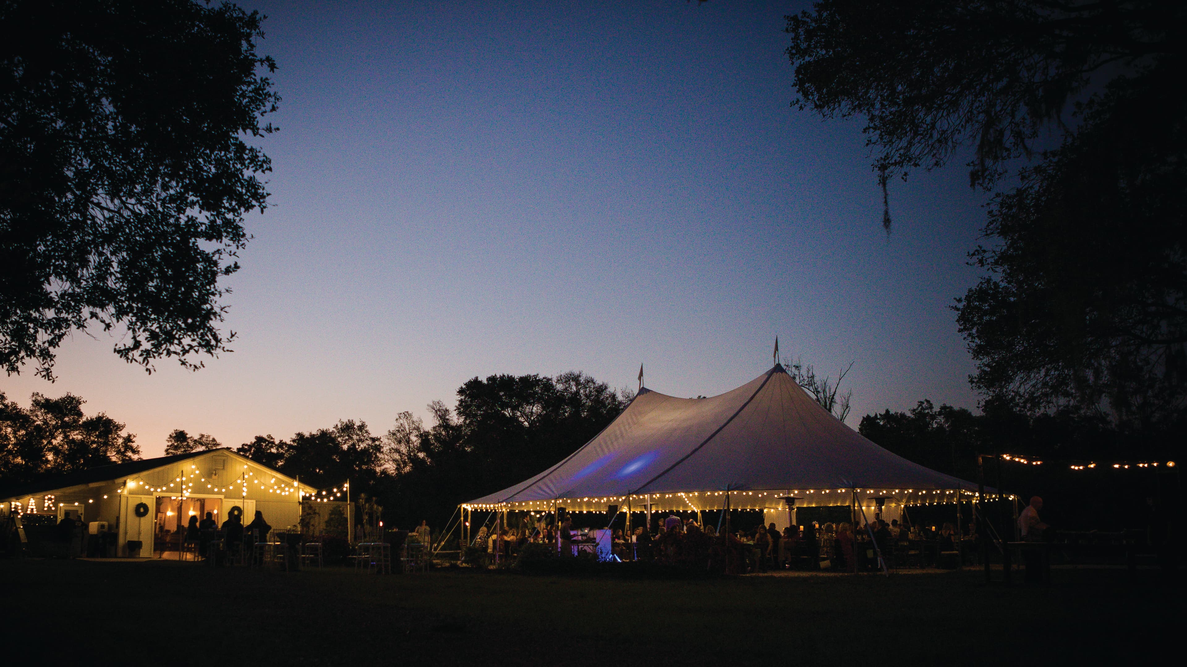 The reception tent going navy at last light under the oaks at Chapel Creek